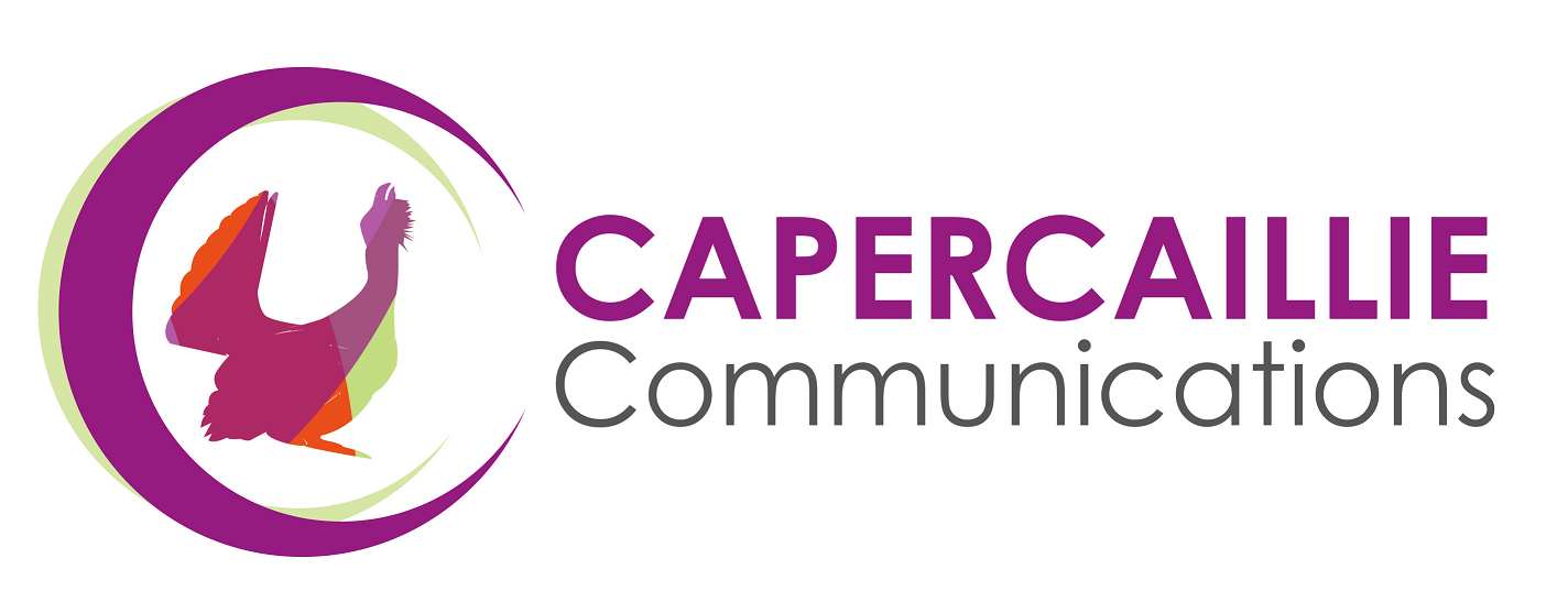 logo of website designer Capercaillie Communications
